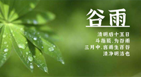 【二十四節(jié)氣灸】谷雨時節(jié)，用艾為您的健康加上一道保險！