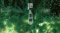【二十四節(jié)氣灸】芒種節(jié)氣，培土補(bǔ)脾、養(yǎng)陰生津！艾灸這些穴位事半功倍！