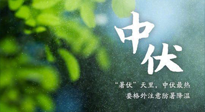 【三伏養(yǎng)生】至熱中伏，吃三樣，喝三樣，三大禁忌千萬別犯，小心落下病根！