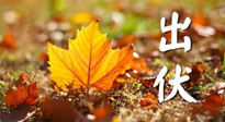 【三伏養(yǎng)生】出伏后做好養(yǎng)生很關(guān)鍵！一行要注意！