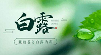 【二十四節(jié)氣灸】白露涼爽，養(yǎng)心肝脾胃、滋陰潤肺是關(guān)鍵！