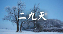 【三九養(yǎng)生】冬二九，扶陽補腎氣，讓你陽氣充足一整年！