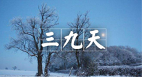 【三九養(yǎng)生】冬三九，三九第三灸，一年中最后艾灸黃金9天！