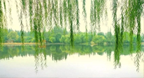 【養(yǎng)生知識】已入五九，六九將至，五九的養(yǎng)生秘訣，你知道嗎？