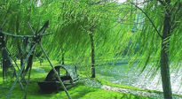 【養(yǎng)生知識】元宵入六九，春季已至，六九天的養(yǎng)生知識你知道多少？