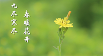 【九九養(yǎng)生】三月四日“九九日”，寒冬已過(guò)。春天養(yǎng)好身，全年不怕??！