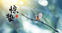 【二十四節(jié)氣灸】驚蟄節(jié)氣，艾灸喚醒抵抗力、補(bǔ)充陽(yáng)氣的最好時(shí)機(jī)！