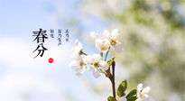【二十四節(jié)氣灸】春分，平分了大地晝夜；艾灸，平衡了身體陰陽(yáng)！