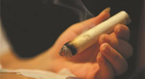 【艾灸知識(shí)】春暖花開(kāi)，衣衫漸薄，再不減肥，身上的肉肉可藏不住了！