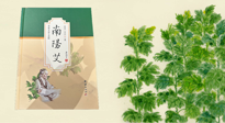 【行業(yè)資訊】國(guó)內(nèi)首部艾草專(zhuān)著《南陽(yáng)艾》，在南陽(yáng)新書(shū)首發(fā)！
