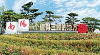【行業(yè)資訊】南陽一個值得三顧的地方！“丹江水”“仙草艾”成為 “南陽禮物”新爆款！