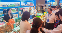【行業(yè)資訊】南陽攜超千款名優(yōu)產(chǎn)品在廣州開展產(chǎn)銷對接，仙草艾首次亮相大灣區(qū)！