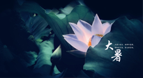 【二十四節(jié)氣灸】趁大暑好好艾灸，才不辜負(fù)三伏天的驕陽！