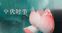 【艾灸三伏天】中伏：三伏灸的關(guān)鍵轉(zhuǎn)折點(diǎn)！“灸”除病根的大好時機(jī)！