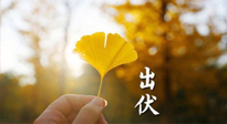【艾灸三伏天】出伏啦！三防三宜兩穴位，防止身體“秋后算賬”！