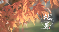【二十四節(jié)氣灸】處暑，冬病夏治倒計(jì)時(shí)！秋涼真的要來了！