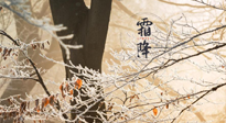 【二十四節(jié)氣灸】霜降節(jié)氣：艾灸四穴，護您冬天安然無恙！