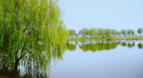 【艾灸知識(shí)】春三月，必艾灸穴位：疏肝理氣，養(yǎng)血調(diào)神！