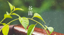 【二十四節(jié)氣灸】谷雨節(jié)氣脾土濕，艾灸降濕濁，脾旺不受邪！