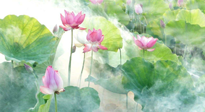 【養(yǎng)生知識】花開半夏，夏至養(yǎng)生，這些知識一定要牢記！