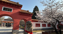 【行業(yè)資訊】新華財經(jīng)：守正創(chuàng)新，中醫(yī)藥品牌化發(fā)展“更上一層樓”！