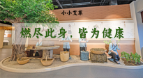 【艾草知識】小小艾草，渾身是寶，一生燃盡此身，皆為健康！